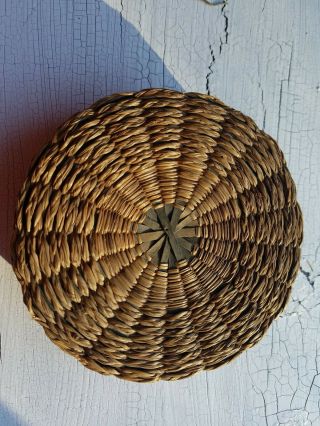 Small Vintage Antique Native American Braided Sweetgrass Lidded Basket 4.  75 "