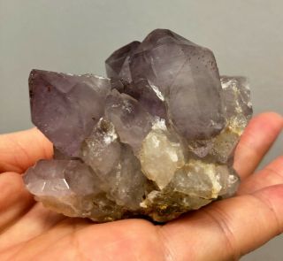Amethyst Quartz Crystal Cluster From Purple Heart Mine In South Carolina