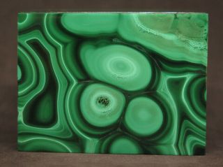 55mm 5.  3oz Natural Dark Green Malachite Crystal Carving Art Jewelry Box