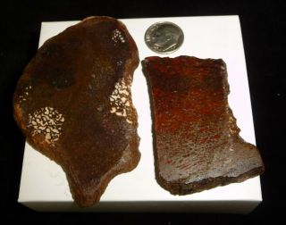 Dino: 2 Faced Fossilized Dinosaur Bone Slabs - 90 G - Lapidary Rough Or Display