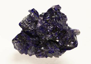 Fine Mineral Specimen Azurite With Malachite - Milpillas Mine,  Mexico - Luster