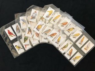 Players Cigarette Cards - Aviary & Cage Birds - Complete Set Of 50