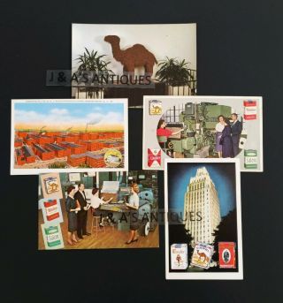 5 Vintage Camel Cigarettes Rj Reynolds Tobacco Co Postcards Nc 1 Rppc Postcard