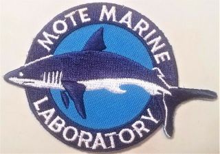 Mote Marine Laboratory Aquarium Shark Sarasota Fl Souvenir Patch Badge Emblem /f