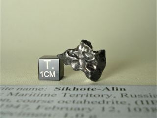 meteorite Sikhote - Alin,  Russia,  complete regmaglypted individual 8,  6 g 2