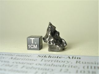 meteorite Sikhote - Alin,  Russia,  complete regmaglypted individual 8,  6 g 3