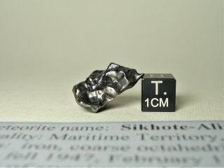 meteorite Sikhote - Alin,  Russia,  complete regmaglypted individual 8,  6 g 4