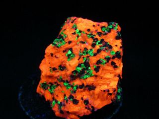 Fluorescent Mineral Rock Franklin Jersey Calcite Willemite Sphalerite C46