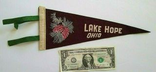 " Lake Hope Ohio  Pine Cones " Vintage Felt Pennant Souvinir 1950 