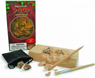 Dinosaur Poop Excavation Kit - Fossilized Coprolite Dino Dig Science Kit