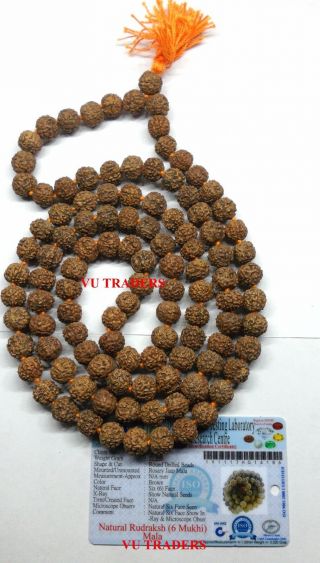 6 Mukhi Rudraksha Mala / Six Face Rudraksh Mars Rosary Lab Certified 108,  1 Beads