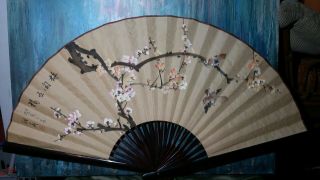 Vintage Taiwanese Or Japanese Wall Fan Ink Print,  Cherry Blossom.  45 " X 26 "