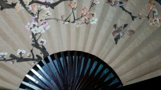 Vintage Taiwanese or Japanese wall fan ink print,  Cherry Blossom.  45 