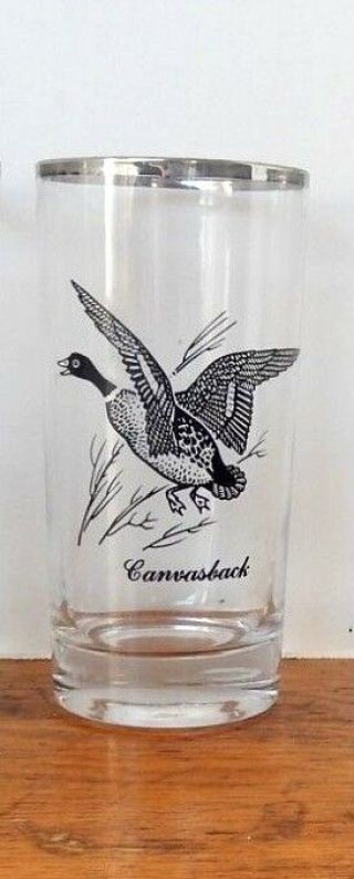 6 Vintage Wildlife Glasses Silver Rim Canvasback Duck Pheasant Canada Goose 4
