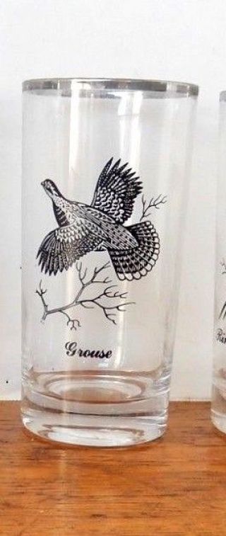 6 Vintage Wildlife Glasses Silver Rim Canvasback Duck Pheasant Canada Goose 5