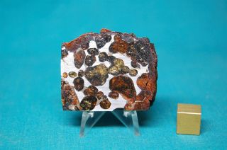 Sericho Pallasite Meteorite 44.  5 Grams