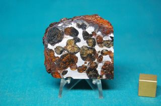 Sericho Pallasite Meteorite 39.  7 Grams