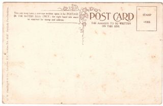 pre - 1913 Louis Wain cat Faulkner postcard,  ‘Very gay’,  feline 2