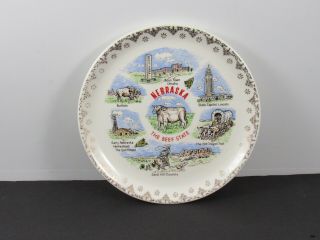 Vintage State Of Nebraska Beef State Souvenir Collectible Plate