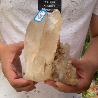4.  2lb Natural White Crystal Cluster Quartz Mineral Specimen Madagascar