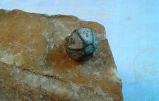 Antique Medieval Viking - Age Solid Bronze Button Fastener Inlaid With Enamel N2