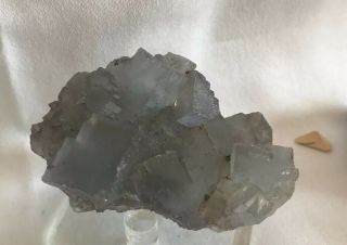 Pale Blue Fluorite Minerva Mine Hardin Co.  Illinois