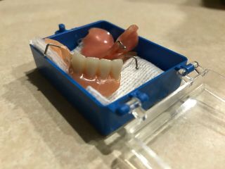 Real Human Partial False Teeth Bridge Oddity