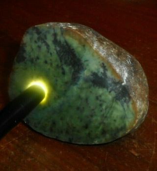 Washington State Translucent Greenelia Jade Rough 3
