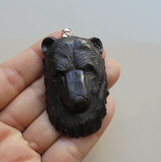 Bear Pendant,  Bear Carving From Buffalo Horn Carving with Silver Bail 041508 2