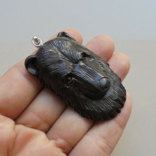 Bear Pendant,  Bear Carving From Buffalo Horn Carving with Silver Bail 041508 3