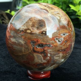 Natural Polished Petrified Wood Fossil Sphere Ball Healing 755g