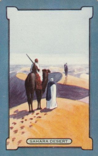 Vintage Coles Swap Card - 1 Single - Scenes - Sahara Desert