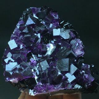 272gnatural Cube Deep Purple Fluorite Crystal Cluster Mineral Specimen/china