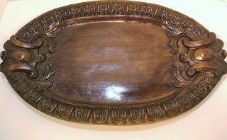 Southern Living At Home Brimfield Resin Wood Grain Oval Tray Platter 21 X 13