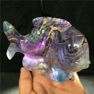 1.  51lb Natural Fluorite Quartz Fish Skull Hand Carved Crystal Healing Hok1209