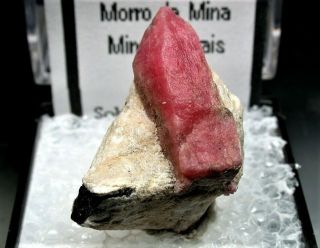 Minerals : Rhodonite Crystal On Matrix From Brazil