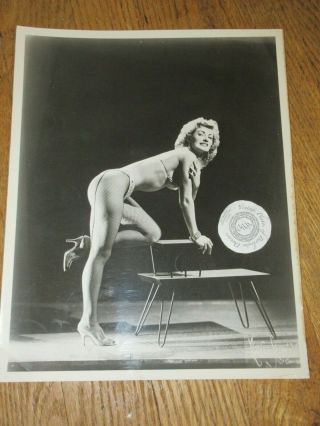 Vintage Sunny Dare Sexy Retro Table Burlesque Burlesk Stripper 8x10 Photos Bw