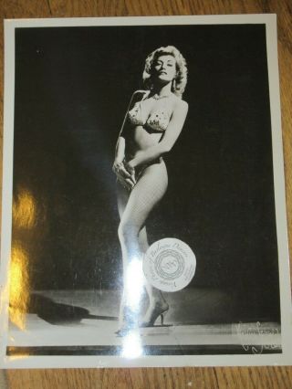 Vintage Sunny Dare Sexy Fushnets Burlesque Burlesk Stripper 8x10 Photos Bw