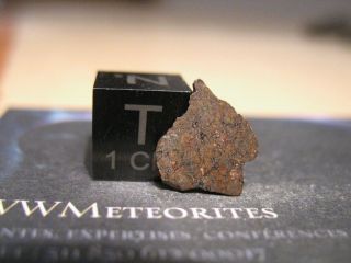 Meteorite Aridal 014 - Chondrite H4 Found 25°38.  026’n,  13°49.  936’w