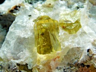 Around Five Translucent Apatite Crystals In Big Matrix From Mexico 470gr E