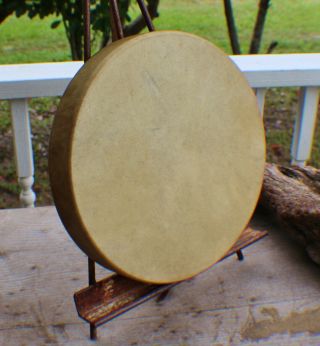 12 " Native American Elk Hide Hand Drum Cherokee Made William Lattie Cert Of Auth