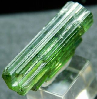 A 100 Natural Terminated Tourmaline Crystal Cluster On A Stand Brazil 7.  1 E