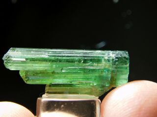 A 100 Natural Terminated Tourmaline Crystal Cluster on a Stand Brazil 7.  1 e 7
