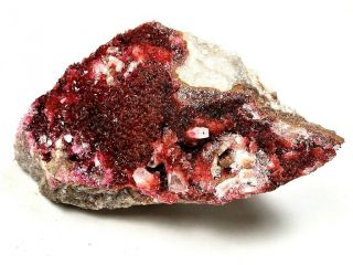 Minerals : Red Wendwilsonite Crystals On Dolomitic Matrix From Morocco