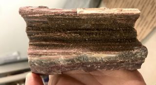 Reilly’s Rocks: Arizona Petrified Wood With Stunning Druzy Smoky Quartz