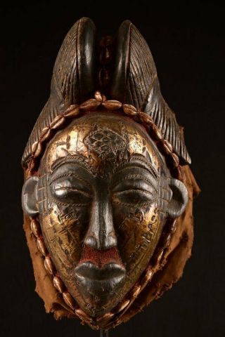 Rare Punu Tribe Puka Shell Queen Mask Old African Wood Carved 9695