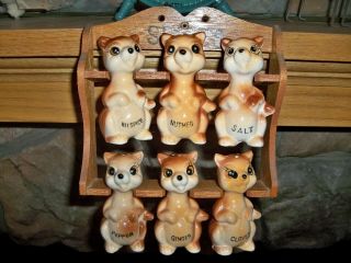 Vintage Spice Rack Jar Set - - 6 Hanging Style Squirrels Critters