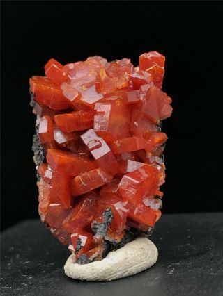 14g Natural Red Vanadinite On Barite Crystal Rare Mineral Specimens Morocco