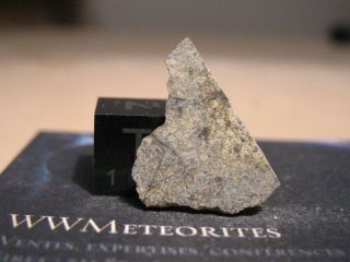 Meteorite Nwa 8590,  Fresh (w0/1) - Ll6 Chondrite