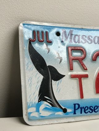 MASSACHUSETTS Preserve The Trust WILDLIFE WHALE License Plate JULY 4